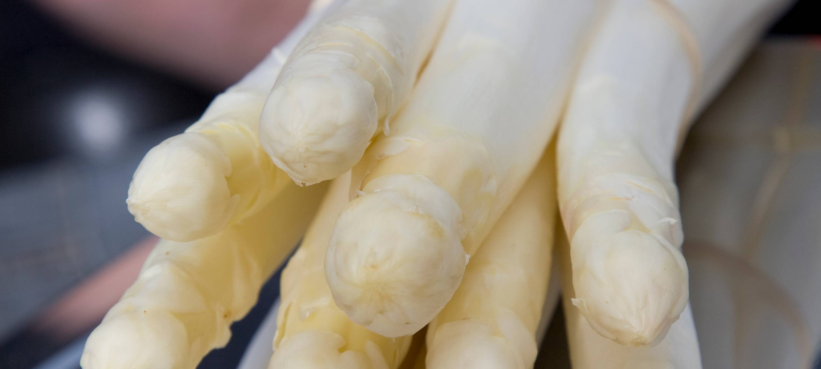 Niederrhein: Weniger Spargel geerntet - Gewinn zufriedenstellend