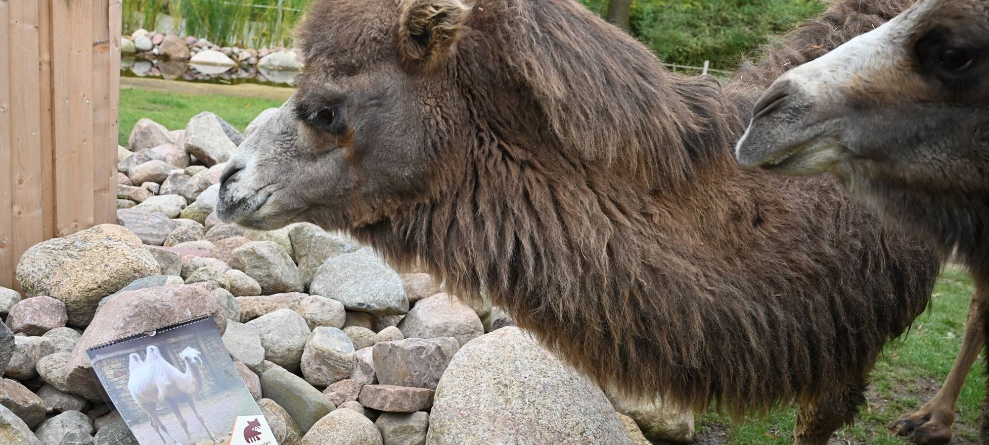 Kleve: Erfolgreiches Jahr für Tiergarten