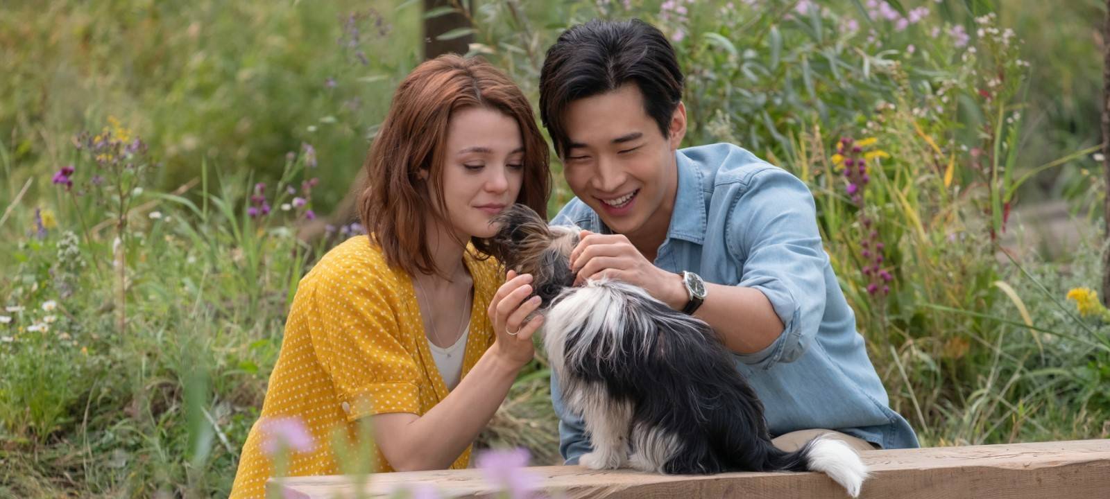 Bailey schmust mit einem Paar