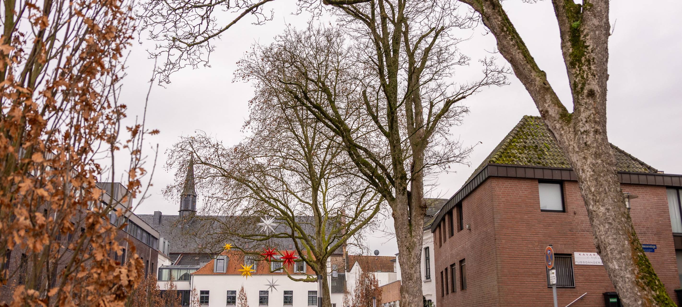 Kleve: Kranker Ahorn am Pastor-Leinung-Platz wird gefällt