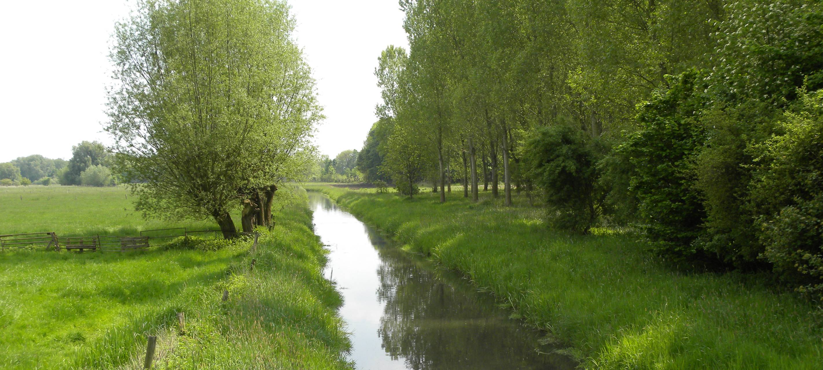 Kreis Kleve: Keine Wasserknappheit - Keine Verbote