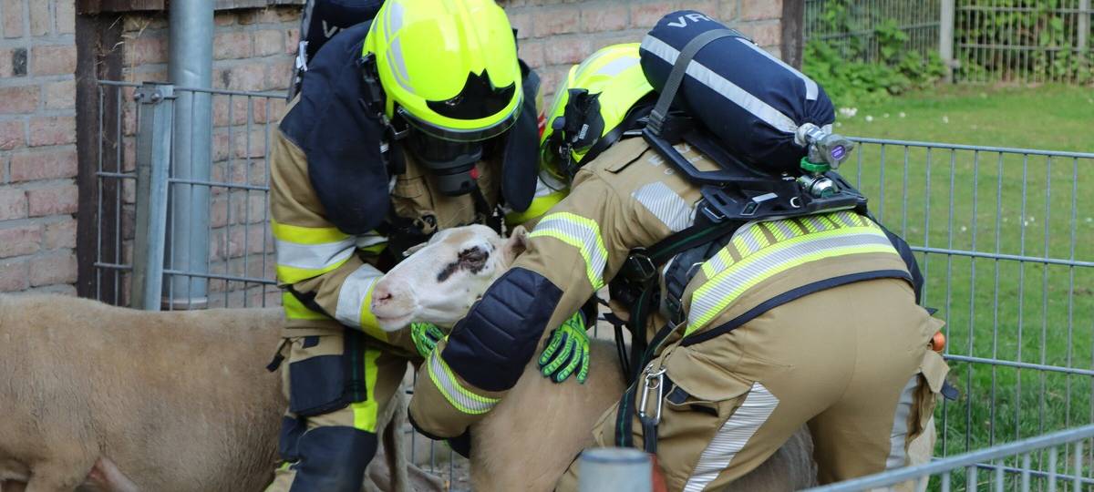 Kleve: Grenzüberschreitende Feuerwehrübung im Tiergarten