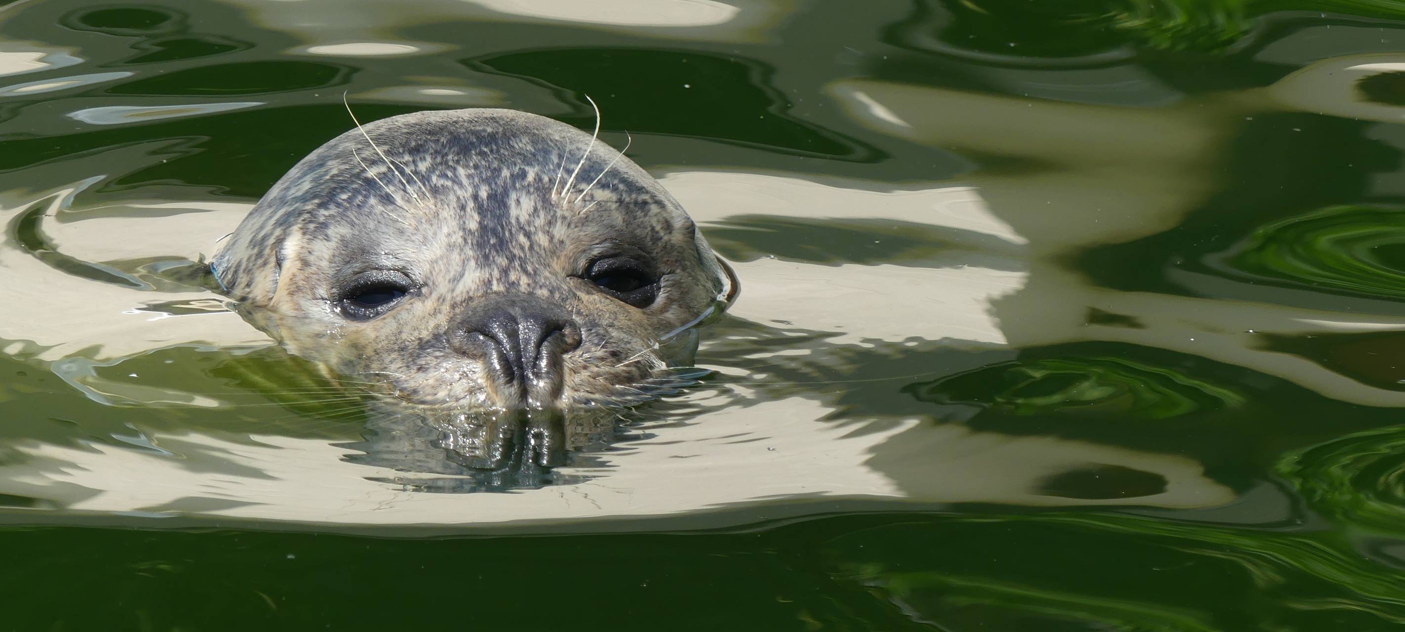Neues aus den Tierparks Kleve und Weeze