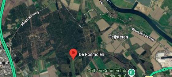 Venlo: Großbrand in Waldgebiet Nähe Leuker-Meer