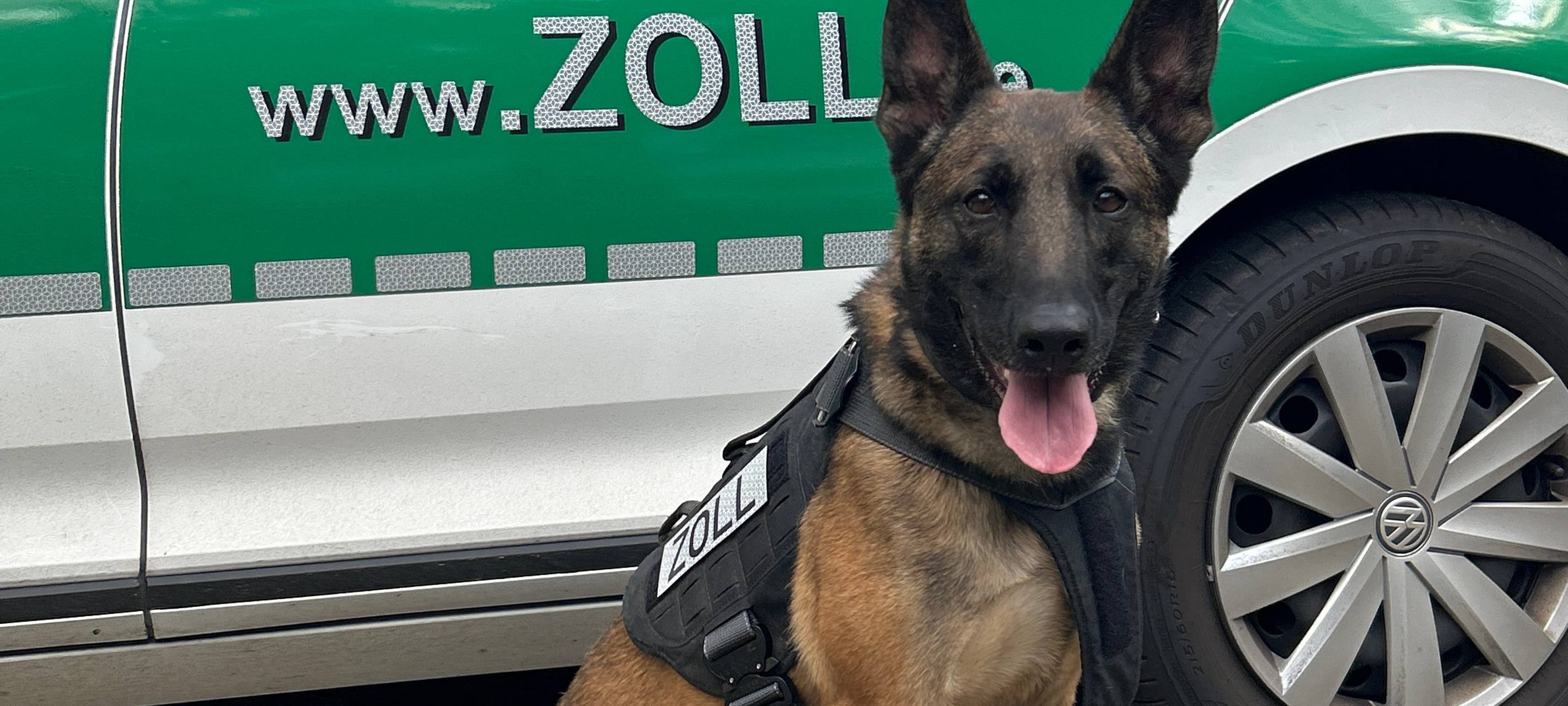 Emmerich: Zollhündin findet fünf Kilo Kokain