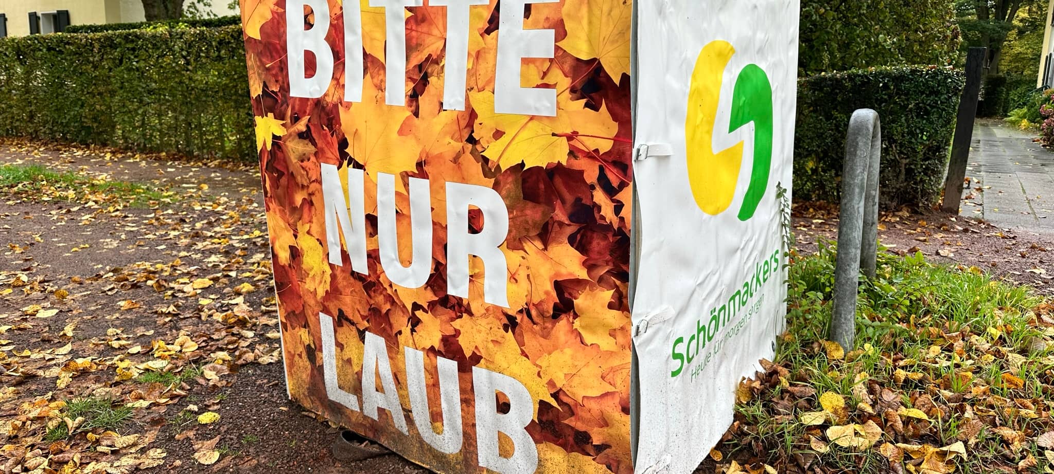 Geldern: 57 Sammelboxen für Laub von Stadtbäumen
