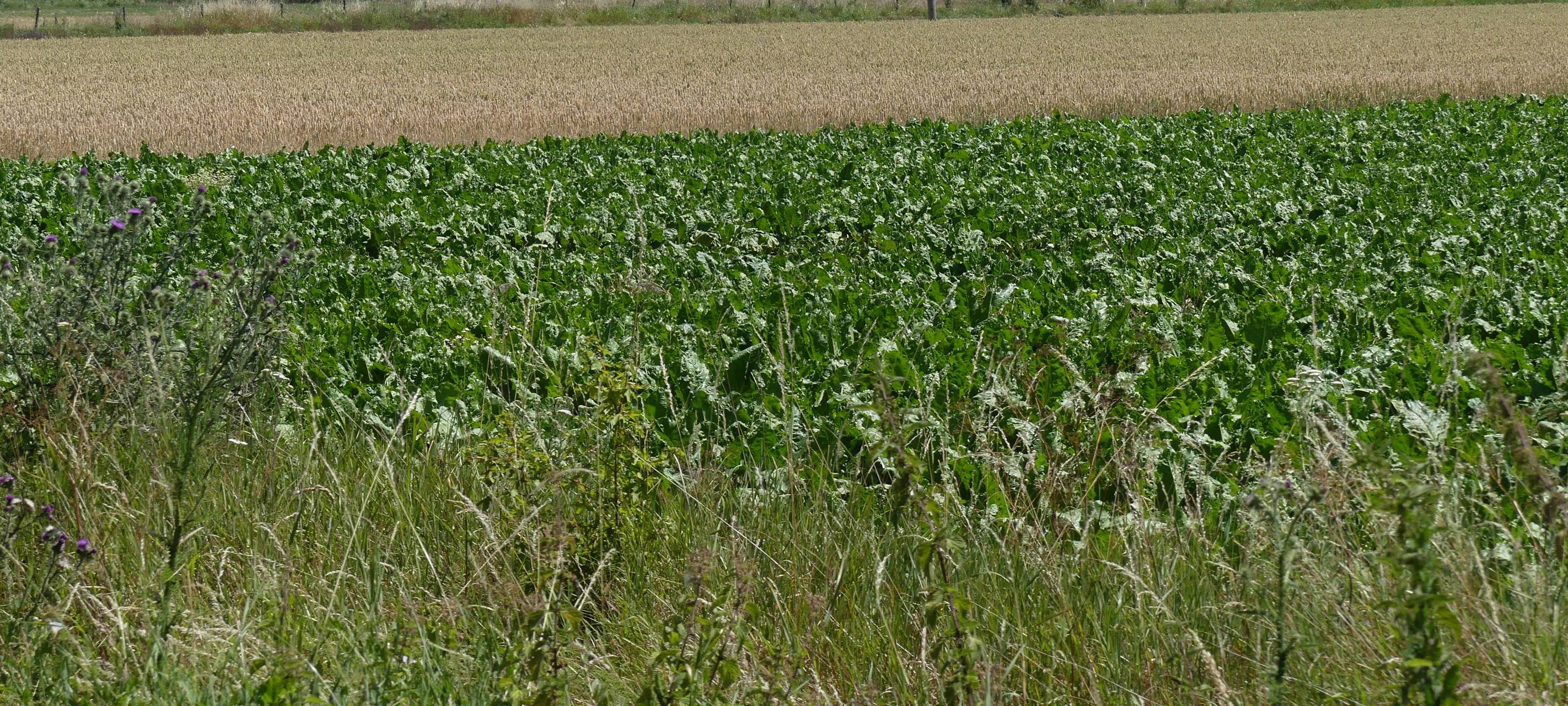 Niederrhein: "Ermutigende Signale, aber keine Lösungen"