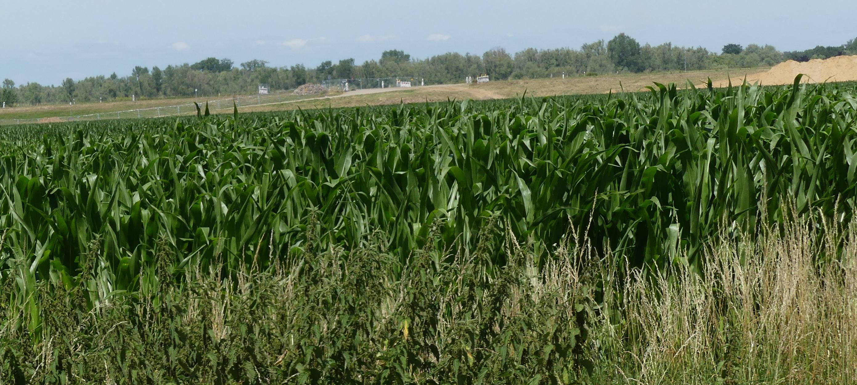 NRW/Niederrhein: Landwirte sollen für Wasserentnahme zahlen