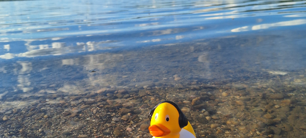 Antennchen macht Urlaub