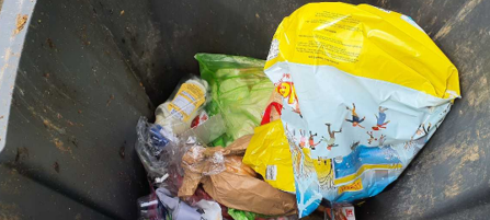 NRW/Niederrhein: Im Rhein treibt viel mehr Müll als gedacht