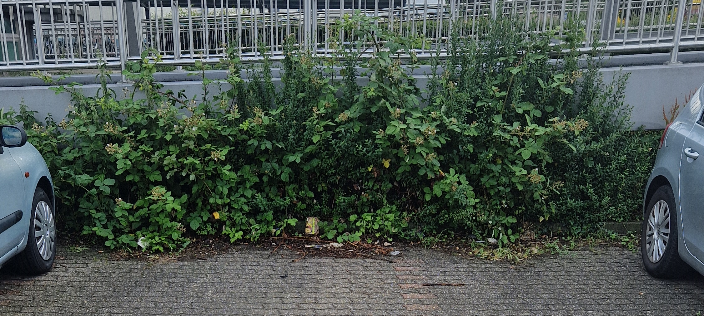 Kevelaer: Neue Frauenparkplätze am Bahnhof